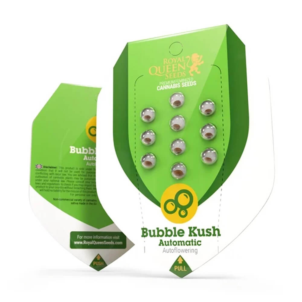 wholesale-royal-queen-seeds-bubble-kush-autoflowering-cannabis-seeds-5-seeds-pack-1